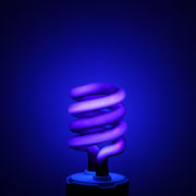 Purple energy-saving insect trap lamp