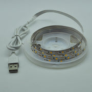 USB Interface Decorative Soft Light Strip Background Light
