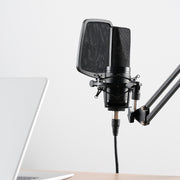 Condenser microphone large diaphragm K song computer