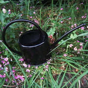Watering Iron Sheet Watering Pot Gardening Garden Greening Vegetable Garden Large Capacity Kettle