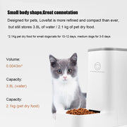 Large-capacity Detachable Bowl Pet Automatic Drinking Water Feeder