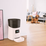 Pet feeder automatic