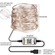 Smart Phone APP Copper Wire Light String